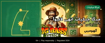 شاندار بونس اور پیشکشیں