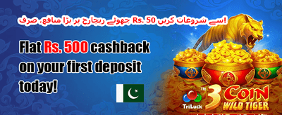 روزانہ اسپن وہیل 🎡 promotion